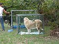 img 030